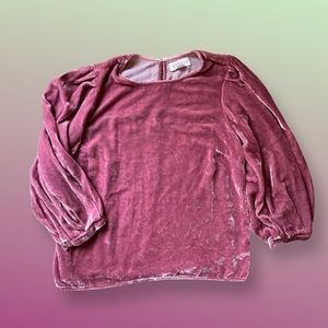 Velvet By Graham & Spencer Blouse